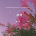 杨雪婧 - 一格格