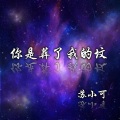 苏小可 - 你是葬了我的坟