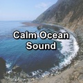 Beach Sounds For Insomnia Relief Relaxing and Loopable 10 Hours