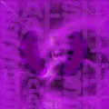Salsit - Impiresy