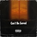 Can't Be Saved (feat. The Cab & Anarbor)(Explicit)