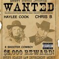 chris b、Haylee Cook - 6 Shooter Cowboy