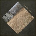 Owen Phillips - Erica