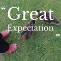 Thomas Beck - Great Expectation