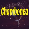 Dj Perreo Mix - Chambonea