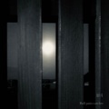 Bull pain catcher - 影月