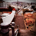 Demosa - kochikame