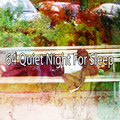 White Noise Baby Sleep - Outstanding Sleep