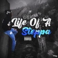 Que$t、Dj - Could Neva (feat. Que$t)(Explicit)