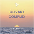 Loopable Atmospheres - Free The Ears