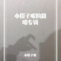 小橙子呢 - 关山酒
