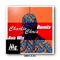 Charlie Chris、Ava Max - Salt