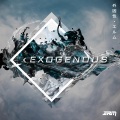 Erami - Exogenous (ERM)