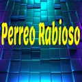 Dj Perreo Mix - Perreo Rabioso