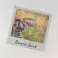 Reverie Quirk