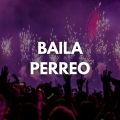 Dj Perreo Mix - Baila Perreo