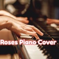 Good Music - Roses Piano Cover