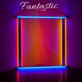 Fantastic (feat. DigDat Wel Nelson & Wretch 32)(Explicit)