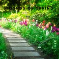 Cricket Sounds、Nature Sounds Collabo、Zen Master - Spring Joy