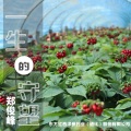 一生的守望