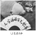 不争夺排名你们加油