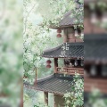 獨立小橋風滿秀 - 姑苏城