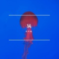 尚谷楠 - 骗