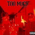 Vue、Apollo Snow - Too Much (feat. Apollo Snow)(Explicit)