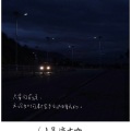明历MUSIC、上官静 - 贝斯贝斯