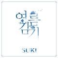 淑熙 - 여름감기
