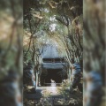 青璃、昀奕、时酒、是姨妈呀、油炸山楂 - 妖谭