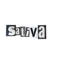 IcyLando、Buck - Sativa (Explicit)