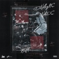 Toshi - D Wade (Explicit)