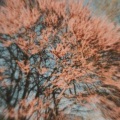 Insonmia (Explicit)