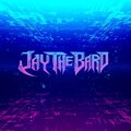 Jay the Bard - Log On