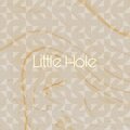 Tori - Little Hole