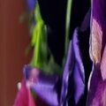 Evod - 0 Messages (Explicit)