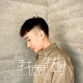 力楠 - 我想我想