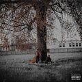 JUMPMAN、Chester - Papaveri (feat. Chester)(Explicit)
