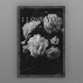 Kzek、Maddy Gaukroger - I Lost You (feat. Maddy Gaukroger)
