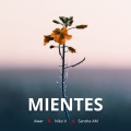 Mientes