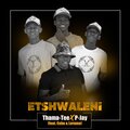 Thama Tee、P-Jay、Cebo、Lerumo - eTshwaleni (feat. Cebo & Lerumo)