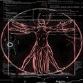 Distinct - BLACKOUT