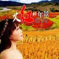 荷塘M、荷塘 - 火红的年景