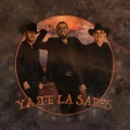 Los Del Norteño Banda、Salvador Aponte、Andrés Navarro - Ya Te la Sabes