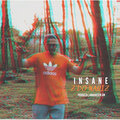 Insane - Z'do NaQiz
