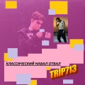 Shepherd、TRIP 713 - Elon Max