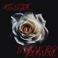 Neekz$ - Brazy For Your Love (Explicit)