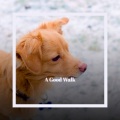 Legion - A Good Walk