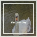 Steve E. Williams - The Dark City